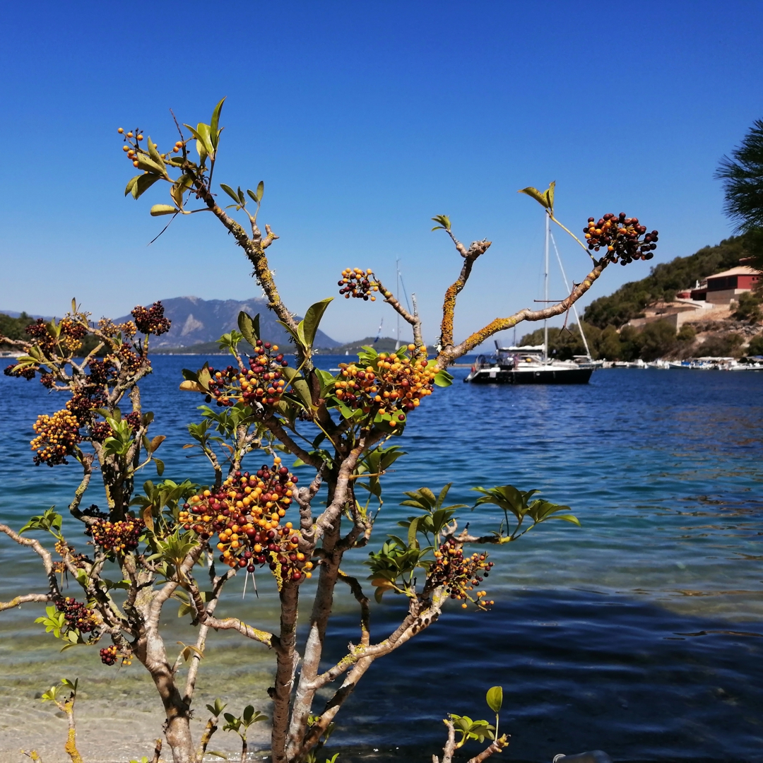 Catamaran Cruises Greek Islands